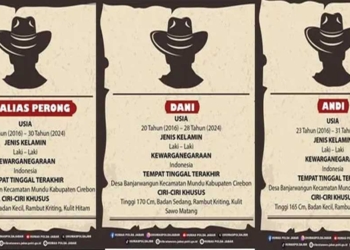 Sidang PK Sudirman Kasus Vina Cirebon, Nama Andi, Dani dan Pegi Perong Ternyata Muncul dari Polisi