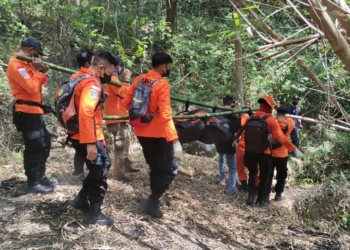 Hilang di Hutan Batu Baok Cirebon, Pria Lansia Ditemukan Meninggal Dunia