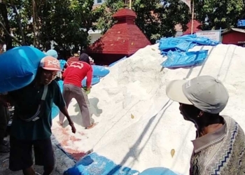 25 Ribu Ton Garam Produksi Petani Desa Rawaurip Cirebon Tak Laku Dijual, Melimpah Tapi Tak Terserap