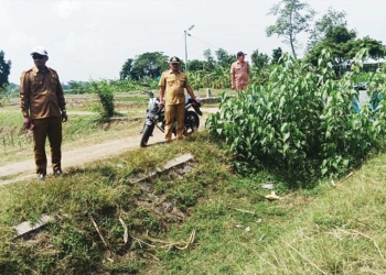 Kuwu Empat Desa di Cirebon Tagih Janji Kementan