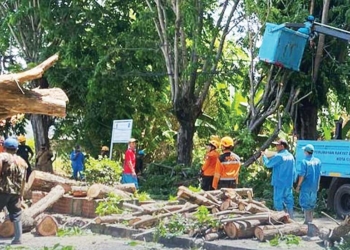 Seluruh Perangkat Daerah Pemkot Cirebon Diinstruksikan untuk Bersiap Hadapi Musim Hujan