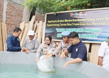 Warga Trusmi Kulon Cirebon Sulap Pekarangan Jadi Kolam Ikan