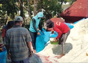 Petani Garam di Cirebon Menjerit, Pemerintah Tak Serap Garam Rakyat