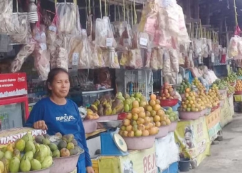 10 Makanan Khas Indramayu yang Wajib Dicicipi Saat Liburan, Cocok untuk Oleh-oleh, Berikut Tips Membelinya