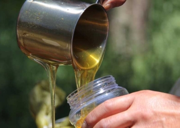 7 Cara Mengobati Sariawan pada Anak, Aman karena Gunakan Bahan Alami