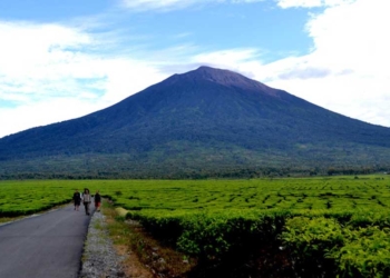 Libur Telah Tiba, 5 Rekomendasi Hotel di Kuningan, Terbaik dengan View Gunung Ciremai