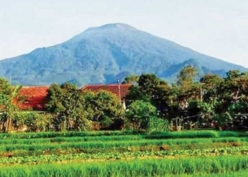 Tempat Wisata di Kuningan, Taman Botanika Tawarkan Keindahan Alam dan Perosotan Terpanjang
