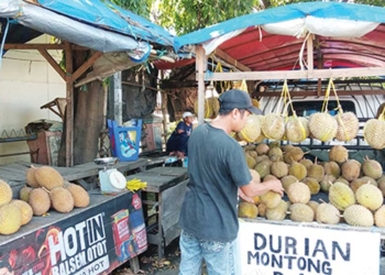 10 Cara Memilih Durian Matang dan Berkualitas Tinggi