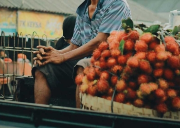 Musim Rambutan Tiba, Buah Segar dan Kaya Manfaat