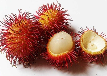 Manfaat Buah Rambutan dan Cara Mengonsumsinya, Tersimpan Khasiat di Kulit dan Biji