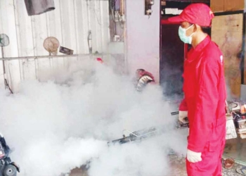 Awal Tahun 2025 DBD di Kabupaten Cirebon Capai 50 Kasus