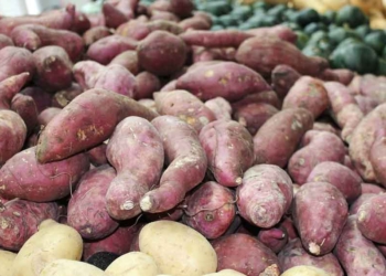 Manfaat Ubi untuk Kesehatan, Berikut Perbedaannya Berdasarkan Warna