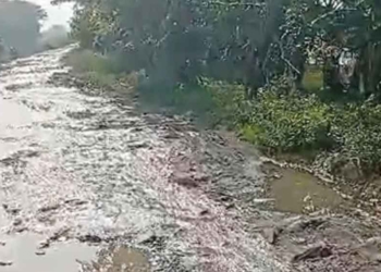 Jalan Kapetakan-Gegesik Cirebon Rusak Parah