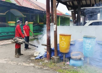 Fogging hanya Bunuh Nyamuk Dewasa