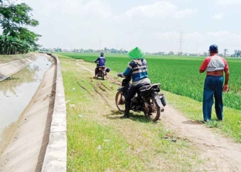 Petani Perbatasan Butuh Diperhatikan, Minta Pemkab Cirebon dan Indramayu Sinergi Bangun Infrastruktur