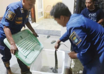 Dari Memadamkan Api Sampai Menangkap Ular, Fasilitas Pekerjaan DPKP Kota Cirebon Memprihatinkan