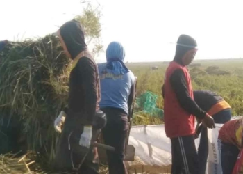 Petani Cirebon Tak Menikmati Efek Lonjakan Harga Beras