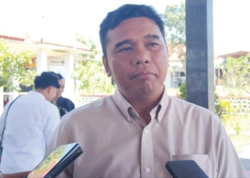 Ketua PDIP Jabar dan Kabupaten Cirebon, DPP yang Tentukan