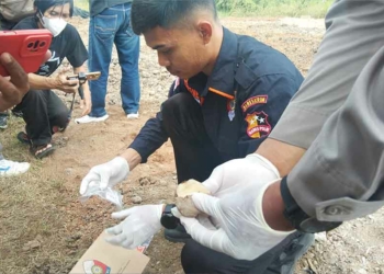 Polisi Dalami Kasus Kentang Busuk di Cirebon
