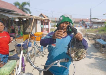 Nelayan Masih Terjerat Tengkulak, Bank dan Koperasi Diminta Turun Tangan