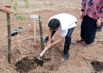 Forkopimda Kabupaten Cirebon Tanami RTH Pemkab di City Land